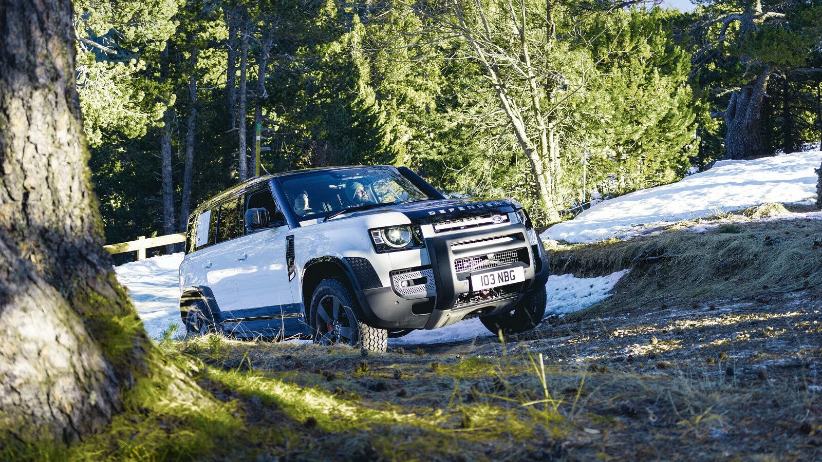 Reaching The Pinnacle - Defender