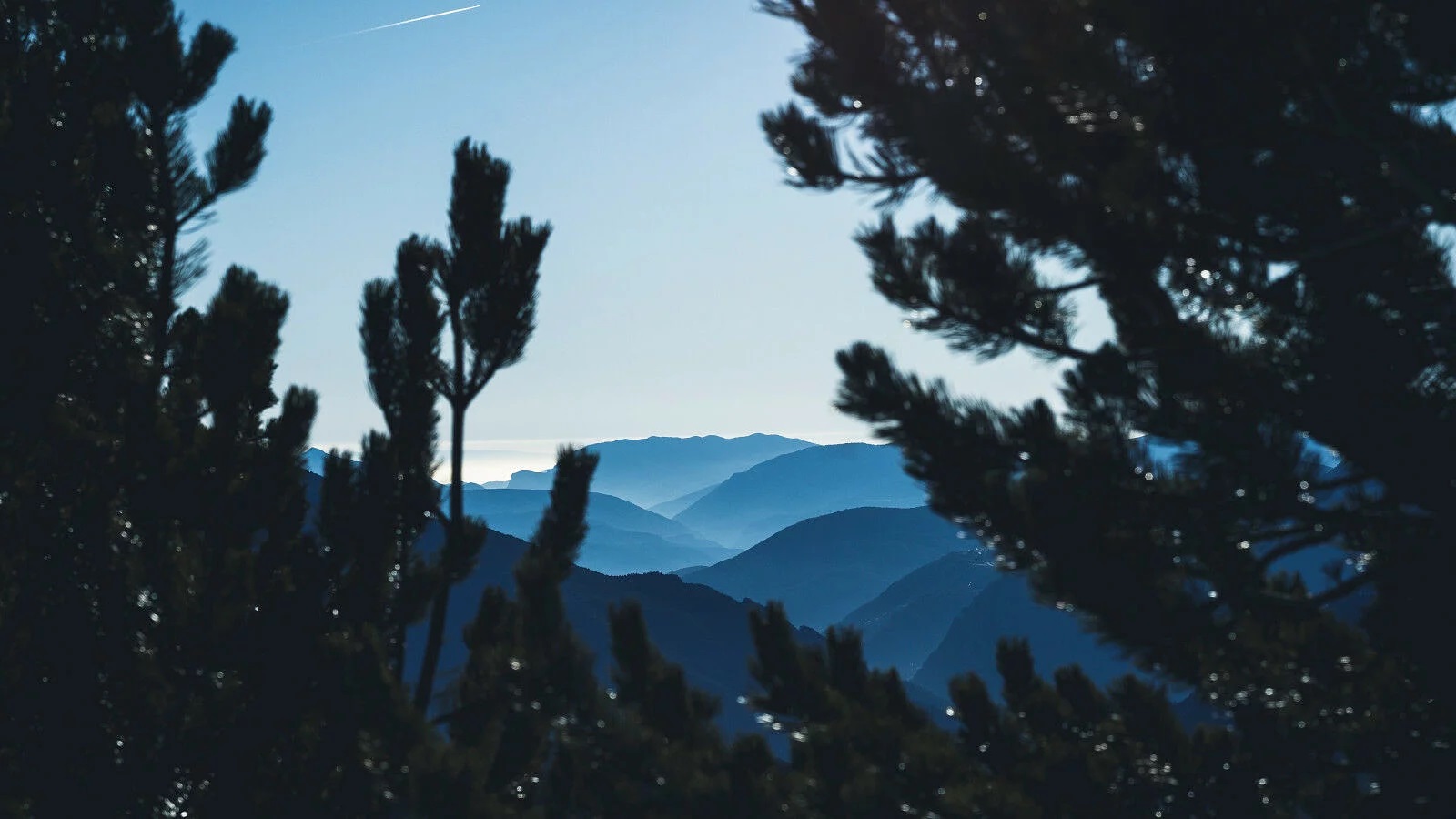 Reaching The Pinnacle