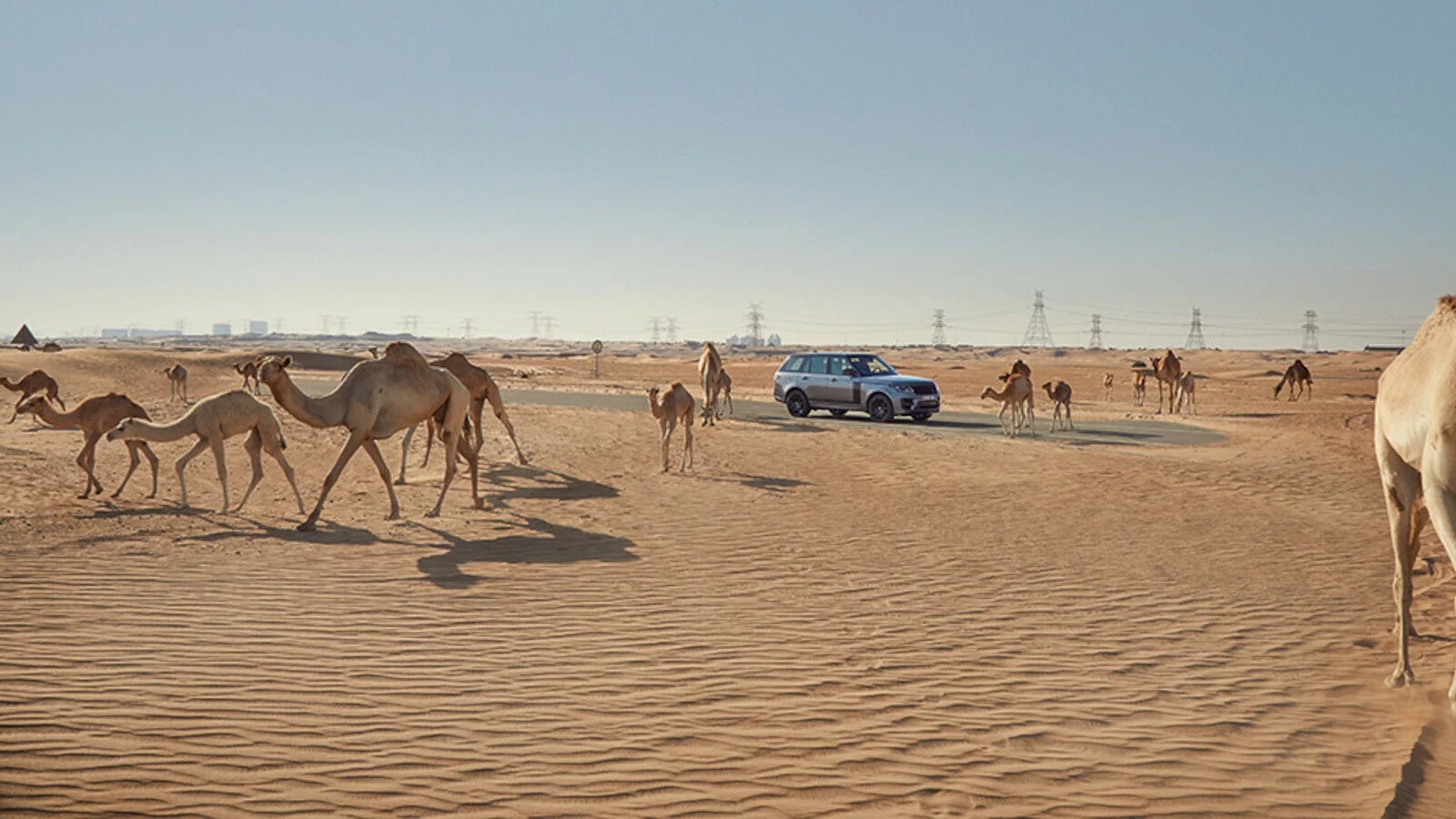 Desert Vision｜Range Rover X 2021 World Expo Host Country: Dubai